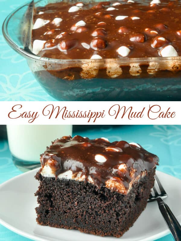Mississippi Mud Cake - a southern favourite for kids of all ages!