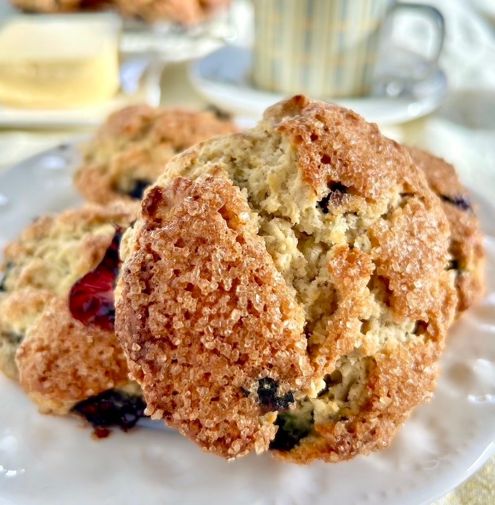 Blueberry Oatmeal Scones – Rock Recipes