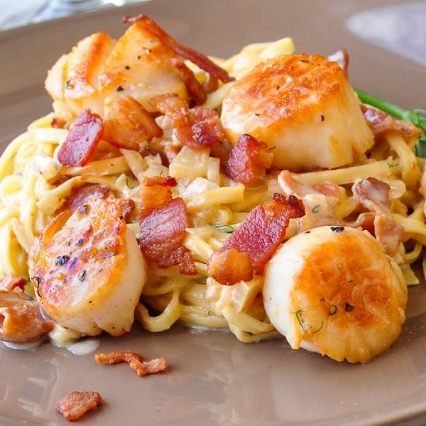 Pan Seared Scallops with Bacon Fennel Cream Sauce . So easy!