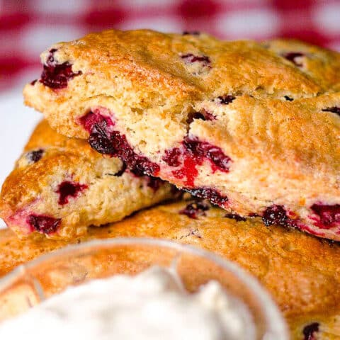 Partridgeberry Orange Scones