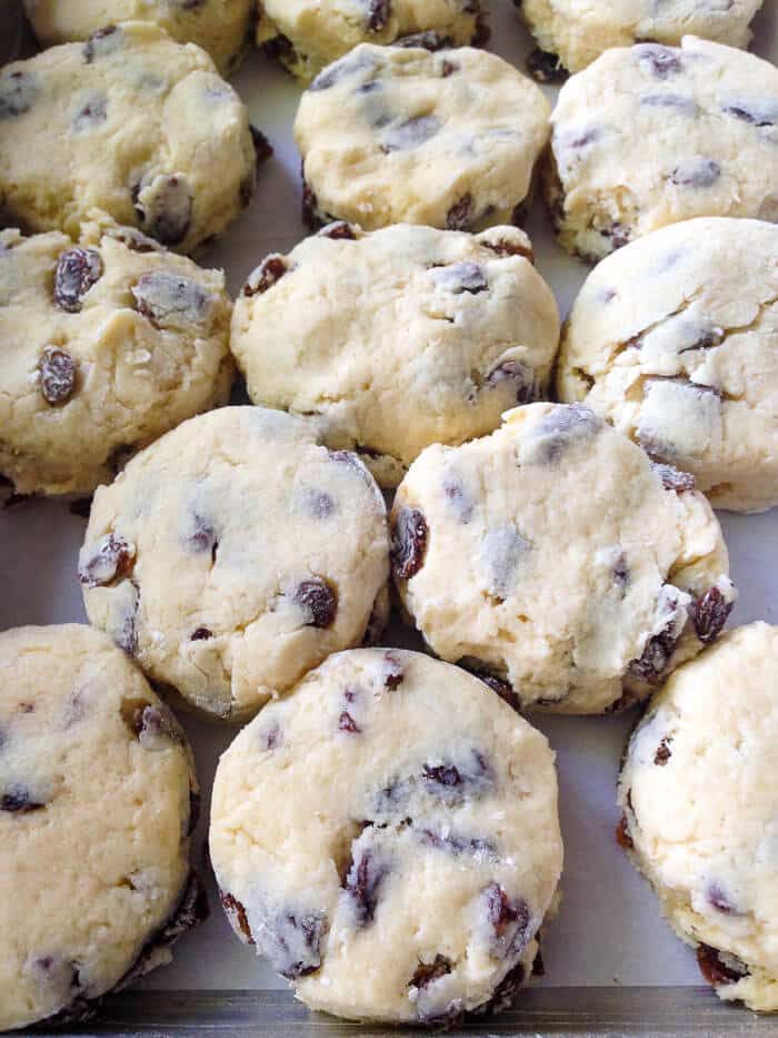 Raisin Tea Buns placed in a 9x13 pan, ready for the oven