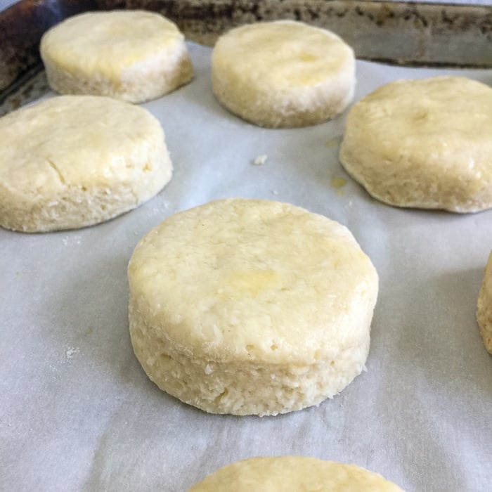 Coconut Tea Buns on a parhment lined baking sheet ready for the oven