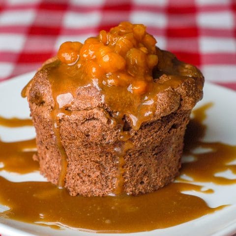 Chocolate Cinnamon Angel Food Cake photo of single serving on a white plate.