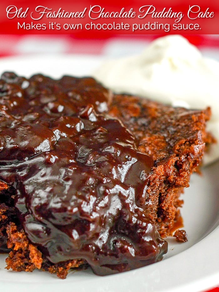 Easy Chocolate Pudding Cake photo with title text added for Pinterest