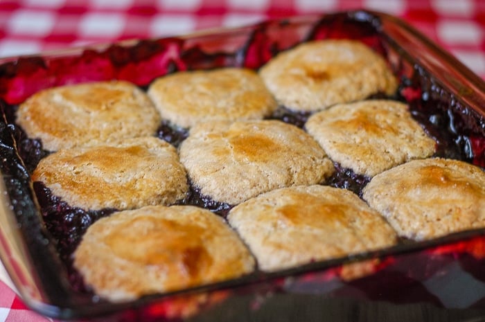 photo of Cinnamon Biscuit Blueberry Cobbler just out of the oven