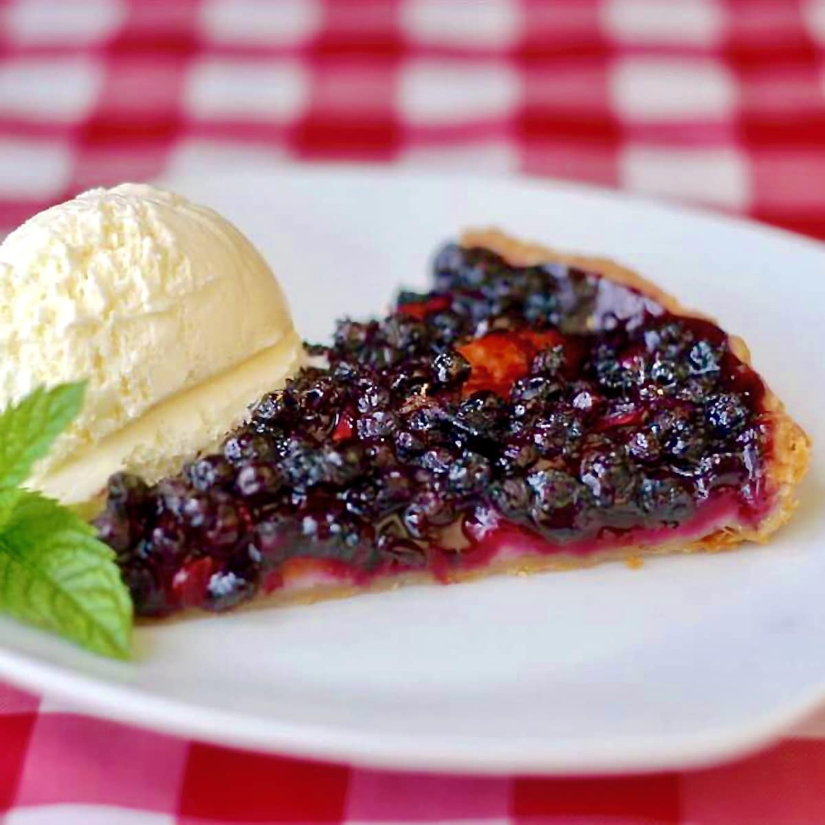 Blueberry Nectarine Tart photo of one slice in a white plate with vanilla ice cream an a sprig of mint.