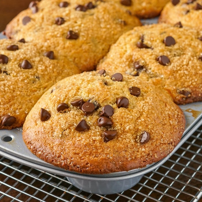 Chocolate Orange Muffins featured image close up of one muffin baked in the muffin pan