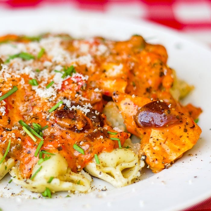 Chicken Tortellini in Spicy Blush Puttanesca Sauce close up featured image