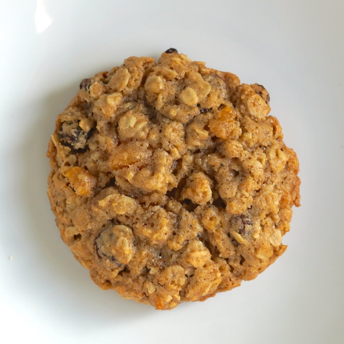Apricot Raisin Five Spice Oatmeal Cookies photo of one cookie isolated on a white plate