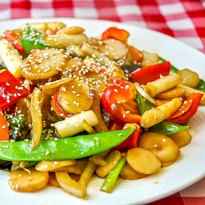 Stir Fried vegetables in Black Bean Ginger Sauce close up photo garnished with sesame seeds.