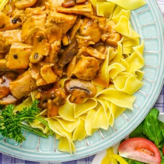 asy Leftover Turkey Stroganoff tight overhead shot.