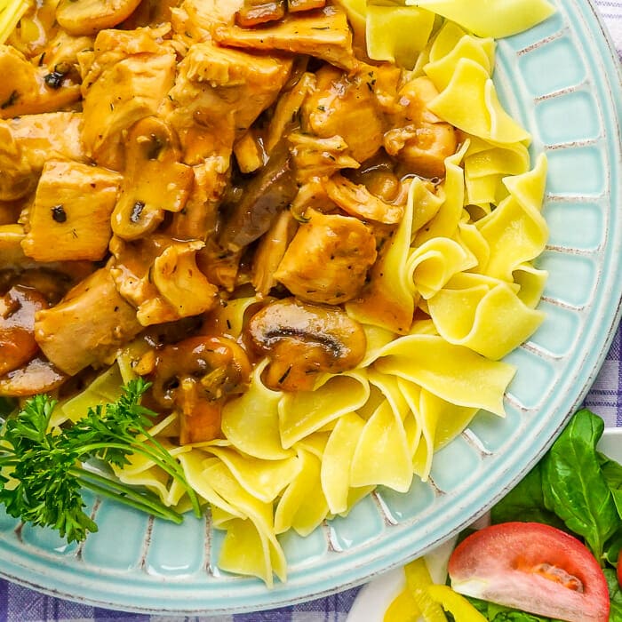 asy Leftover Turkey Stroganoff tight overhead shot.