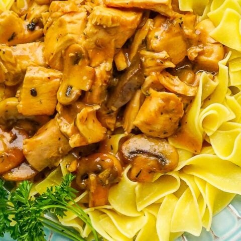 Easy Leftover Turkey Stroganoff close up photo