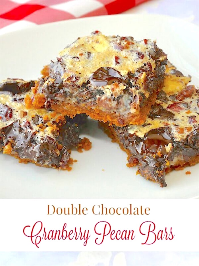 Double Chocolate Cranberry Pecan Bars photo with title text added for Pinterest