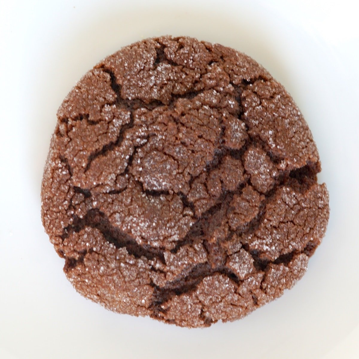 Espresso Chocolate Chip Cookies overhead shot of one cooie on a white background