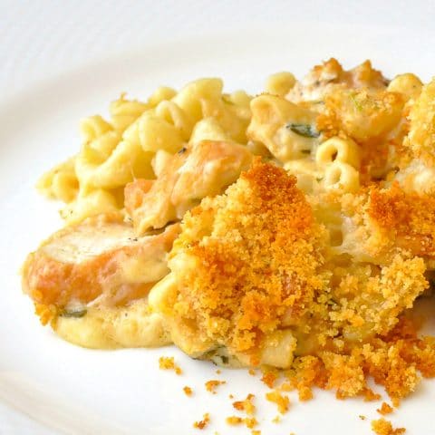 Tarragon Chicken Mac and Cheese close up photo of a single serving on a white plate