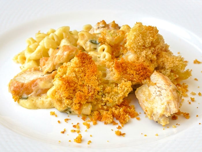 Tarragon Chicken Mac and Cheese wide shot pf a full serving on a white plate