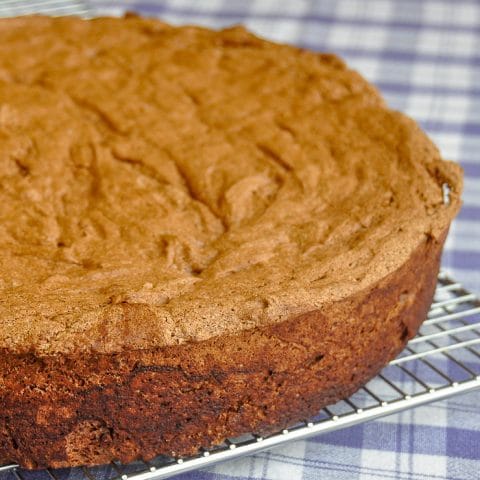 Chocolate Sponge Cake close up image