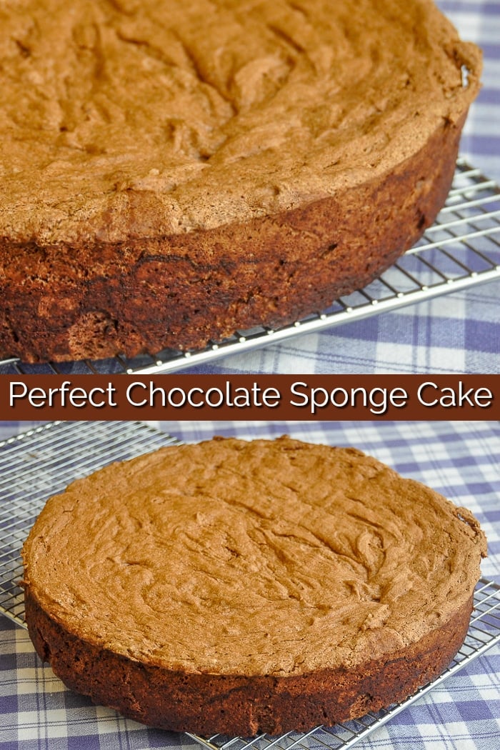 Chocolate Sponge Cake photo with title text for Pinterest