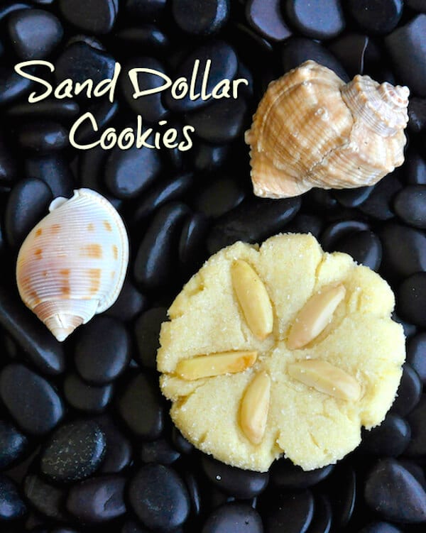 Almond Sugar Cookies or Sand Dollar Cookies