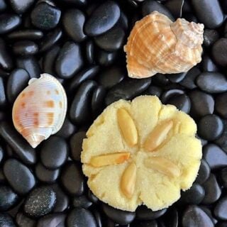 Almond Sugar Cookies photo with seashells on a pebble background