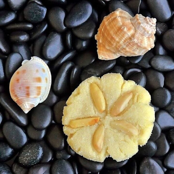 Almond Sugar Cookies photo with seashells on a pebble background