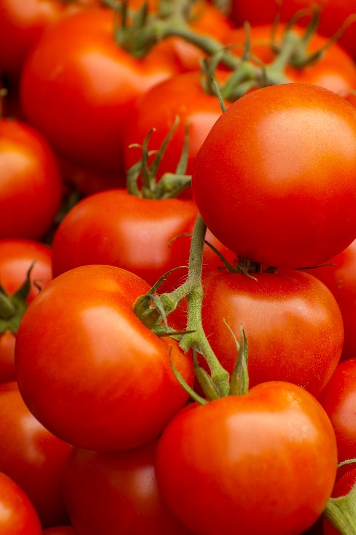 fresh red organic tomatoes on the vine