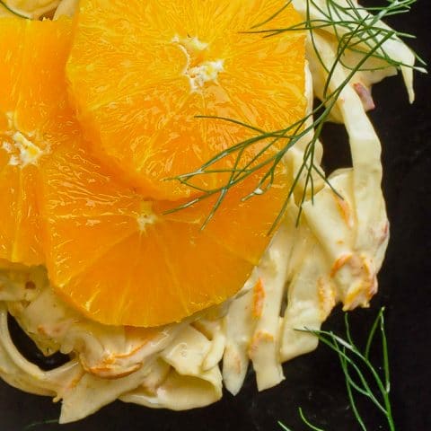 Spicy Orange Fennel Salad overhead close up photo