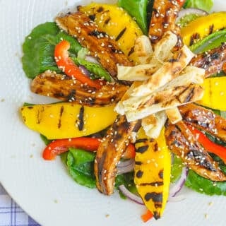 Chicken Teriyaki Salad with Grilled Mango close up photo of a single serving