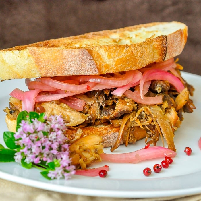 Pulled Chicken Sandwiches close up photo on white plate