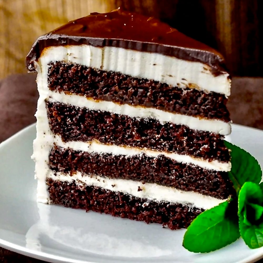 Midnight Mint Chocolate Cake photo of single slice on a white plate with mint garnish.