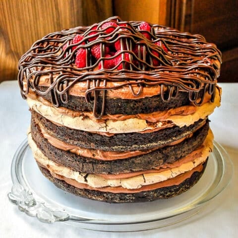 Chocolate Pavlova Cake photo of entire finished cake