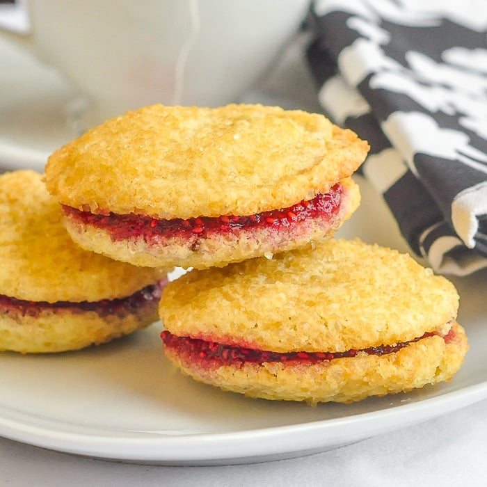 Raspberry Vanilla Butter Cookies close up photo of 2 cookies