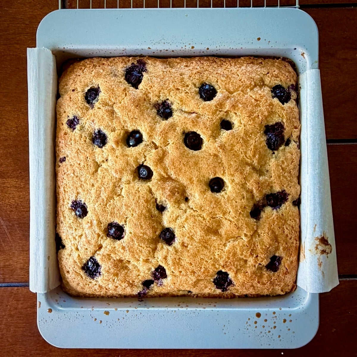 Photo of blueberry snack cake fresh from the oven