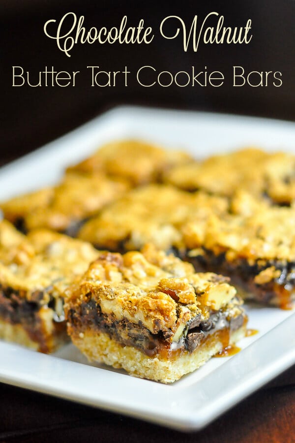 Chocolate Walnut Butter Tart Bars