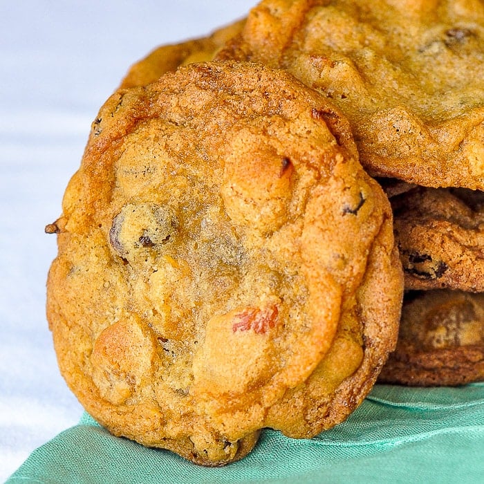 Crispy Chewy Apricot Raisin Cookies close up photo of one cookie