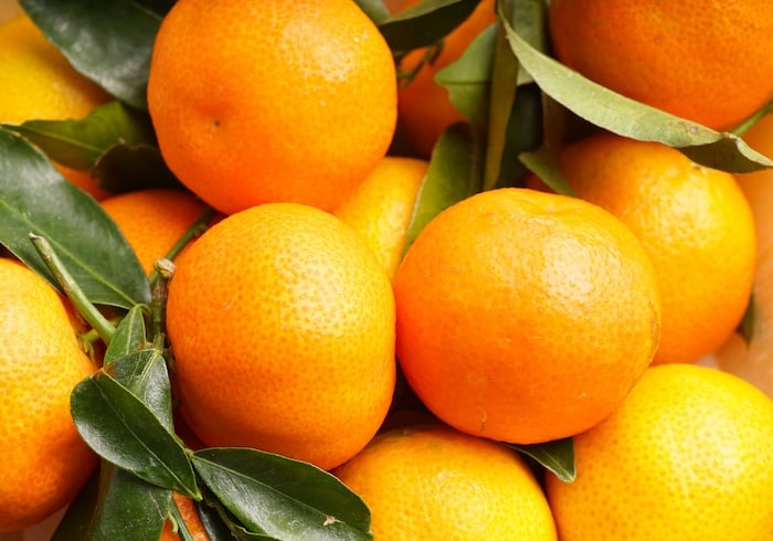 fresh organic clementines picked with green leaves