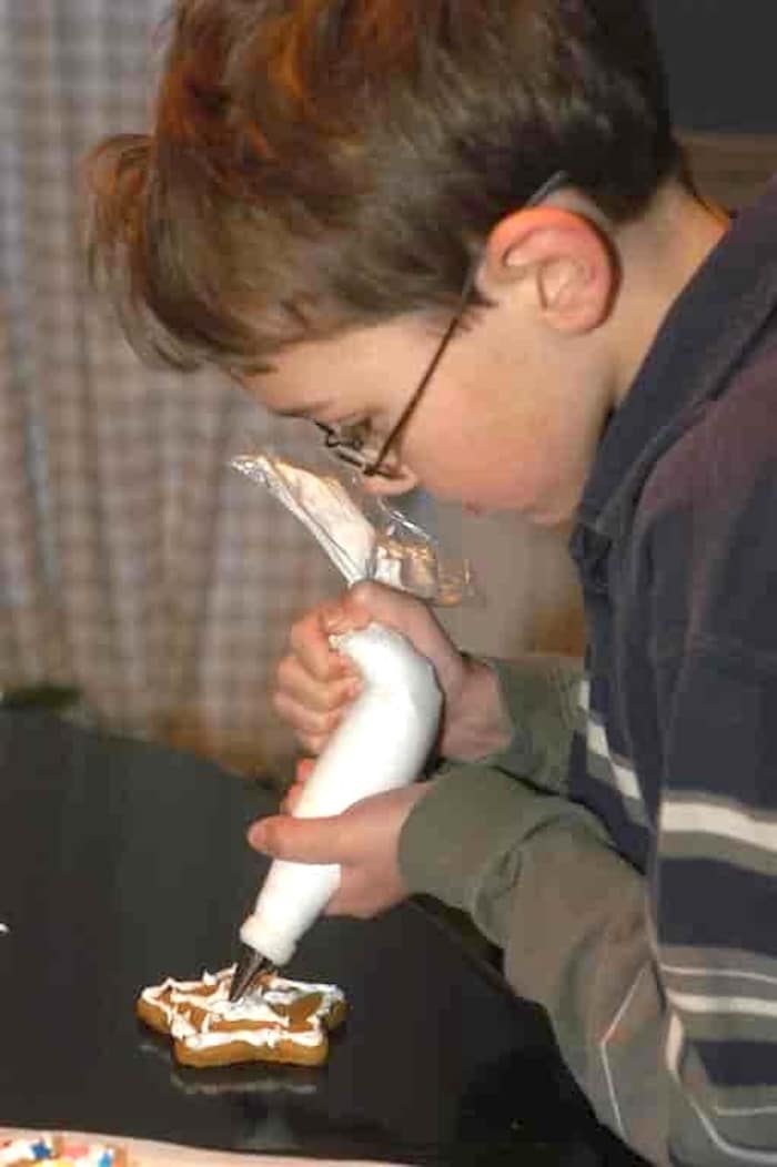 Noah close up photo piping royal icing