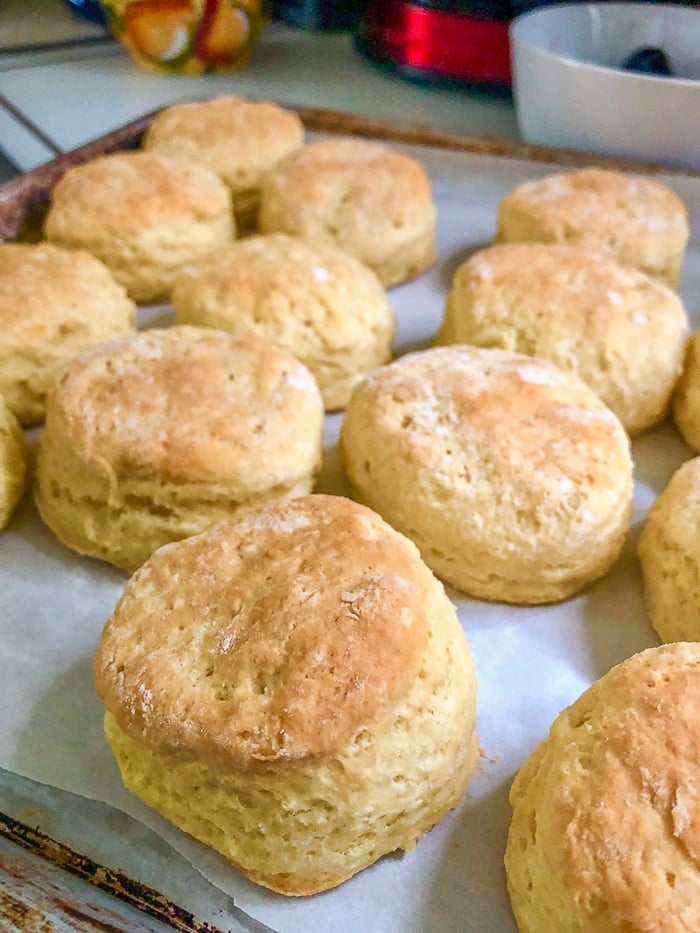 Best Buttermilk Biscuits, fresh from the oven.