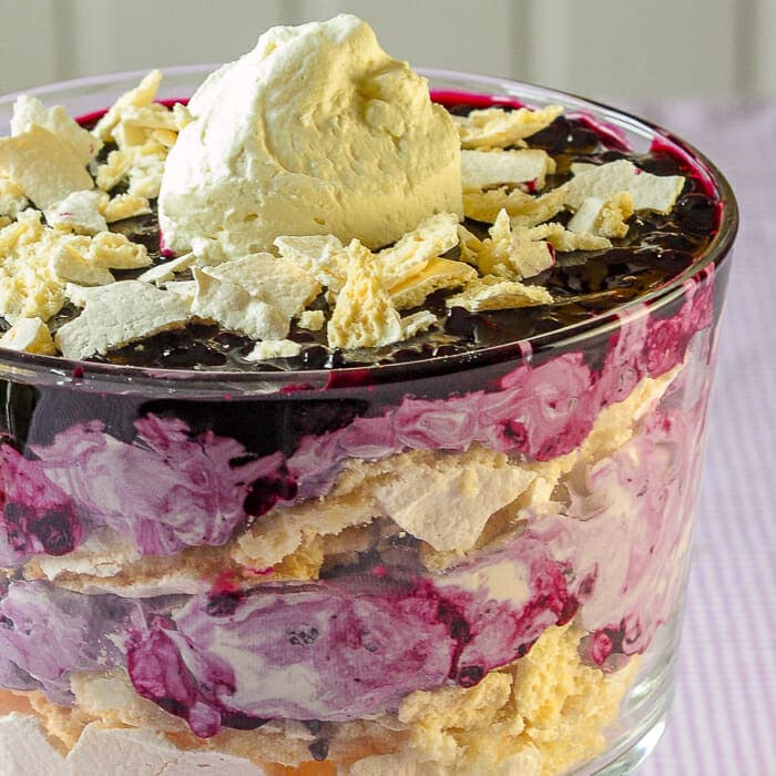 Blueberry Eton Mess close up photo