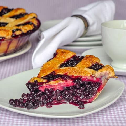 The Best Blueberry Pie photo of single slice on a white plate