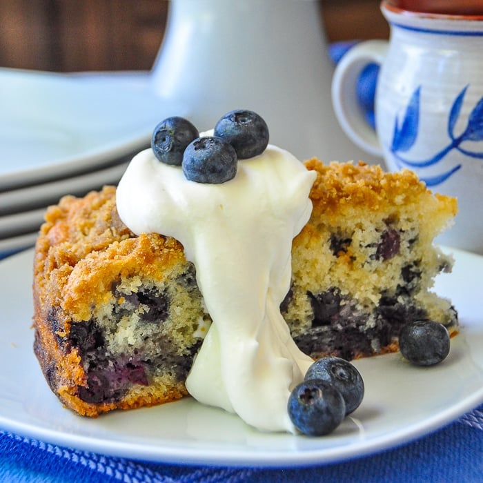 Blueberry buckle photo of one slice garnished with whipped cream and berries