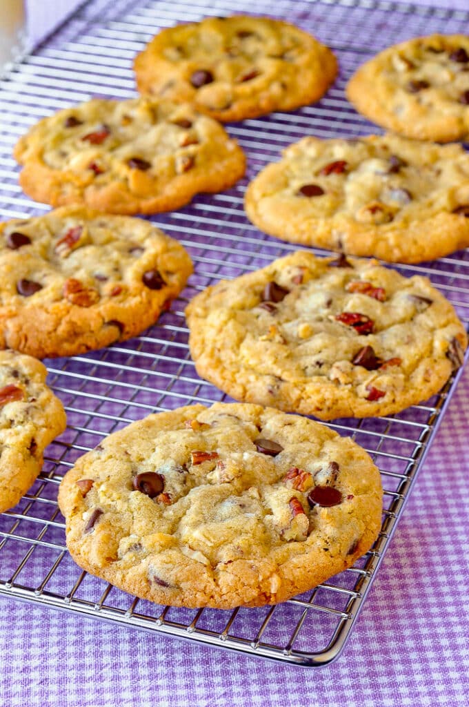 Chocolate Chip Coconut Pecan Cookies crispy chewy good!
