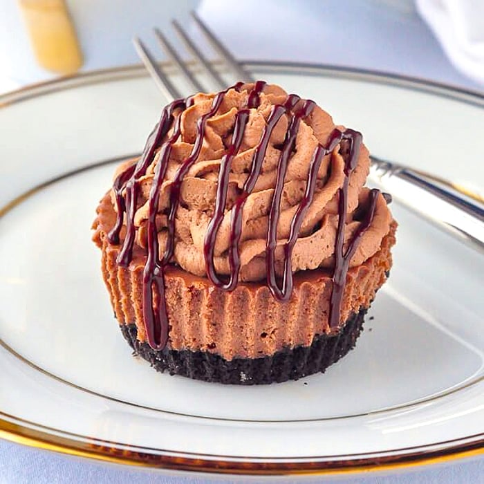 Chocolate Cheesecake Cupcakes close up photo