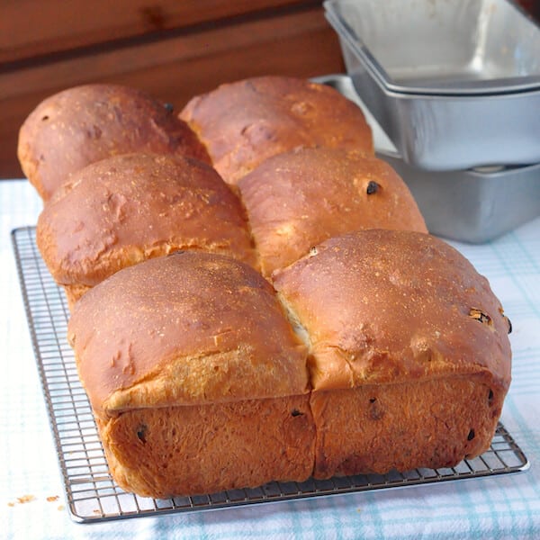 Newfoundland Raisin Bread