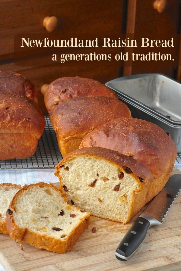 Newfoundland Raisin Bread