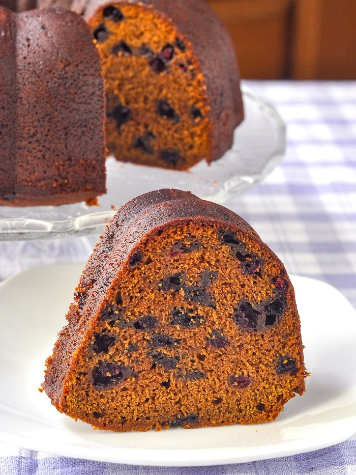 Blueberry Gingerbread Cake with Toffee Sauce photo of one slice without added sauce