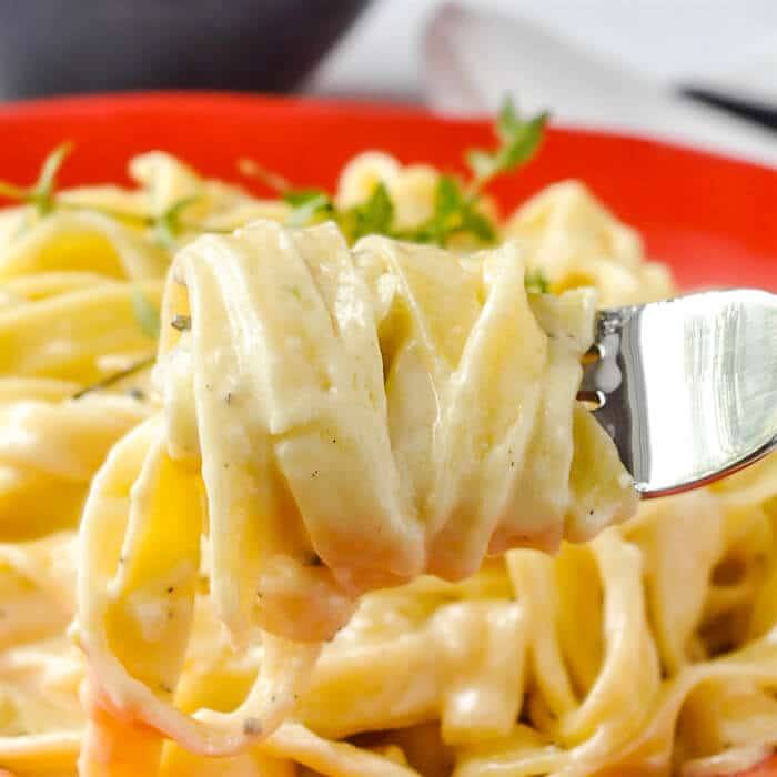 Fettuccine Alfredo Close up