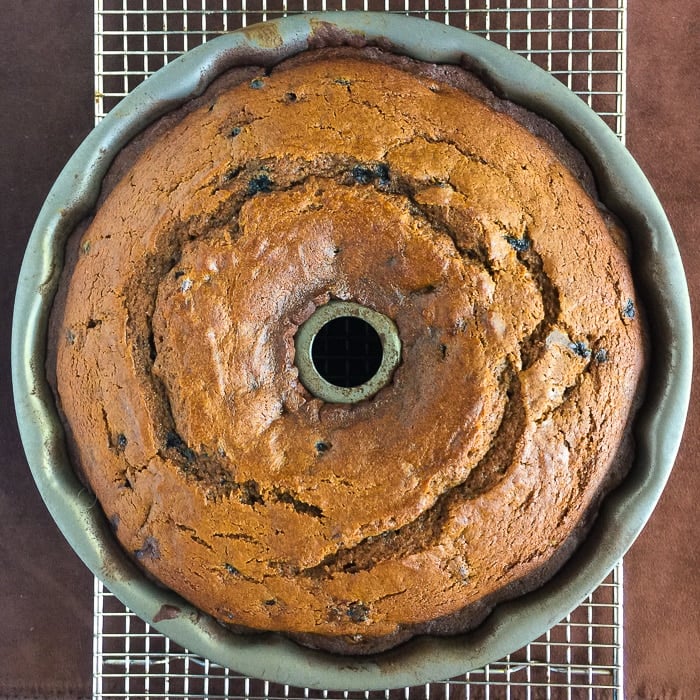 Blueberry Gingerbread Cake fresh from the oven