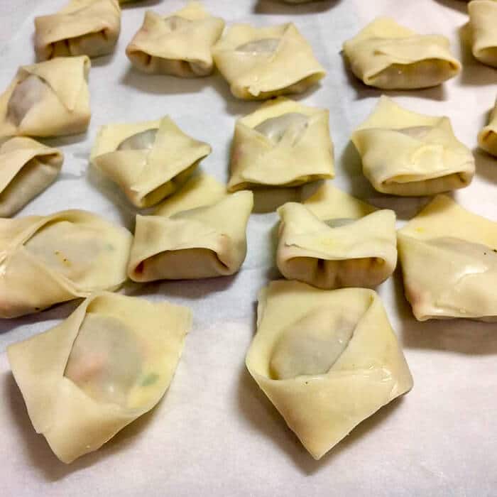 Curry Chicken Stuffed Wontons